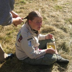 Beo - Scouts en Gidsen Zaventem 